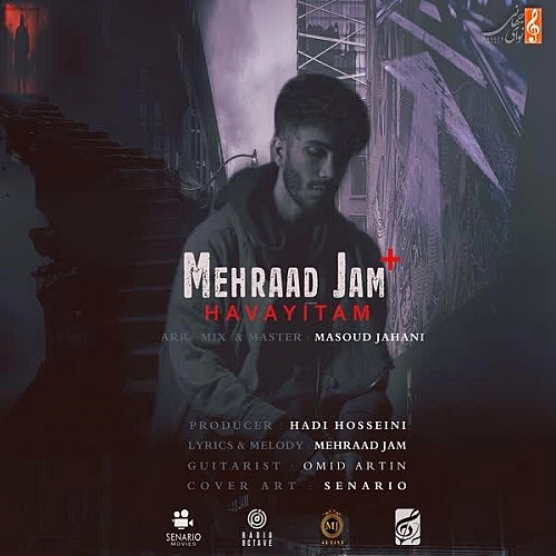 Cover artwork for Havayitam by Mehraad Jam